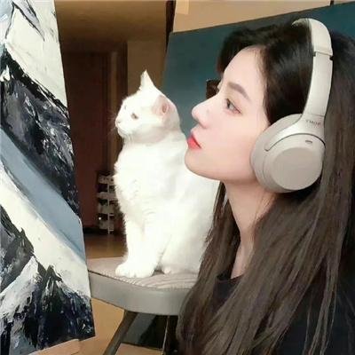 黑猫扎飞